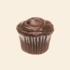 Chocolate Cupcake Chocolate Cupcake